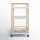 Ellie Bar Cart with Metal Outer Material