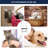 64'' H x 24'' D Metal Foldable Dog Folding Grooming Table-50561539