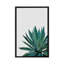 « agave cactus »-impression photographie-49905642-53128553