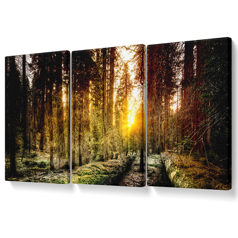 Union Rustic Old Forest in Yosemite - 3 Piece Wrapped Canvas Graphic ...
