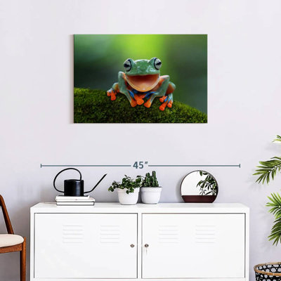 Brampt Happy Tree Frog