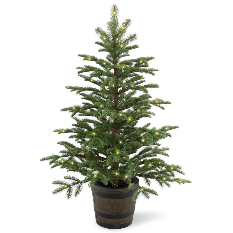 Norwegian 4' Green Spruce Artificial Christmas Tree with 100 Clear Lights