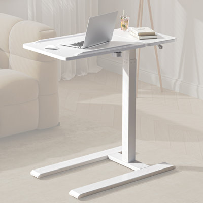 D01 Standing Desk with 4 Memory Ergonomic Height Adjustments