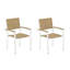 Travira Dining Arm Chair-1016328260-1054275836