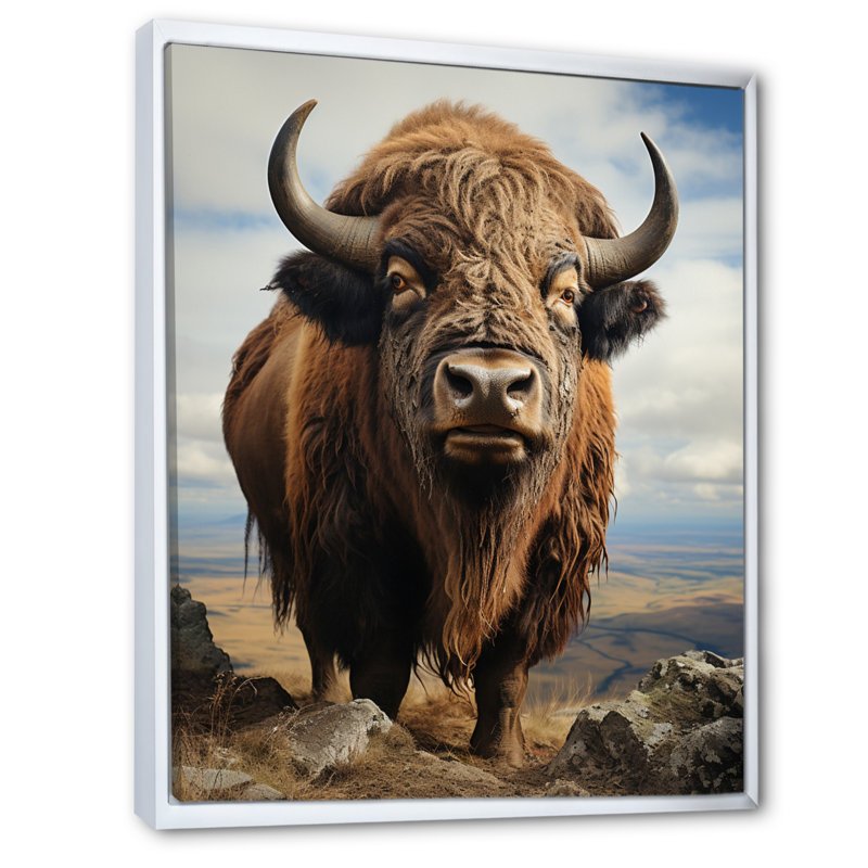 " Bison Bold And Free ", 44" H x 34" W x 1.5" D, White Floater Framed