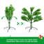 Décoration de Noël arbre de Noël vert 5 pi / 60 po en forme de crayon classique