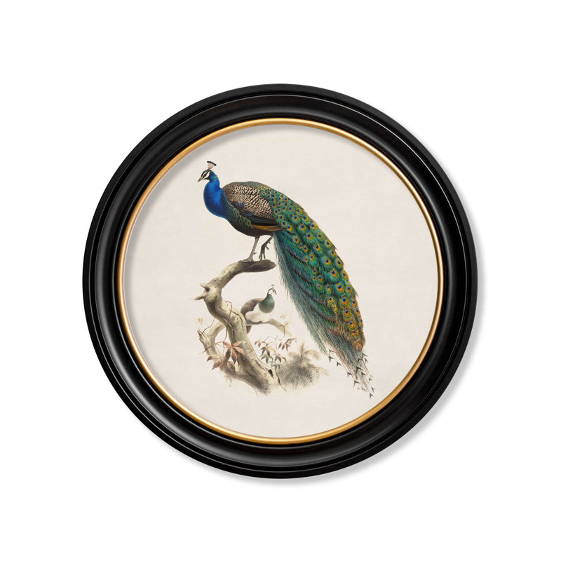 1850 Peacock by Mid-1800s - Single Picture Frame Print on Archival Matt 230gsm Paper, Beige