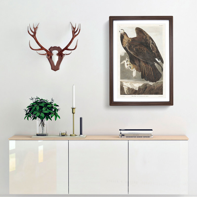 Golden Eagle by John James Audubon - Picture Frame Painting Print, 36cm H x 27cm W x 2cm D, Walnut Framed