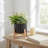 Modern Ribbed Ceramic Outdoor Planter on Stand for Home Decor - Modern Indoor Flower Pot with Natural Wood Stand for Living Room or Patio Styling-84077893