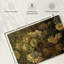 Bloemen-1639274434