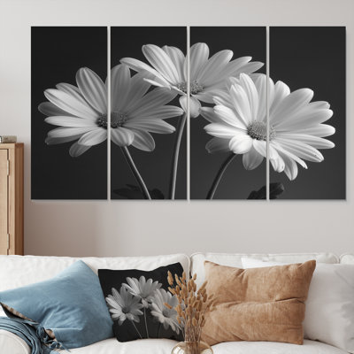 Monochromes noir et blanc «Bliss Daisy Photo IV - Daisies», ensemble d'art sur toile