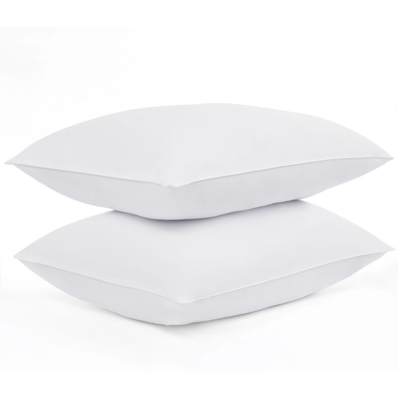 Queen White Hypoallergenic Polyester Down Alternative Pillow Set