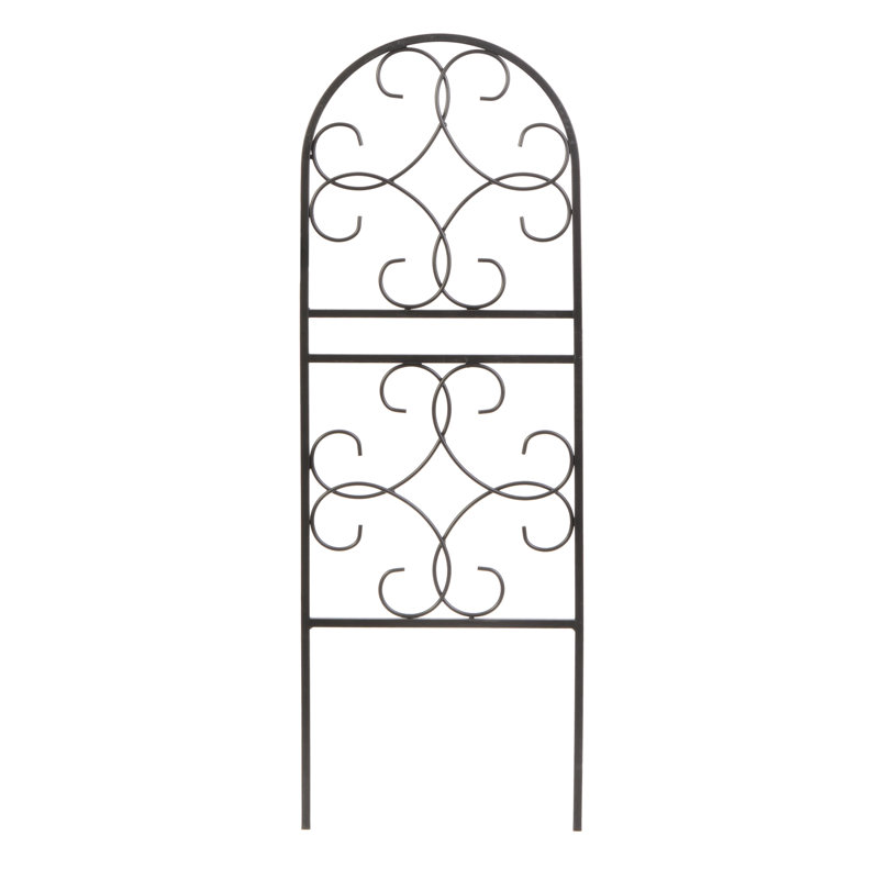91cm H x 38cm W Metal Arched Trellis