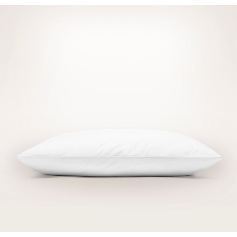 Down Pillow Insert, Firm, Standard