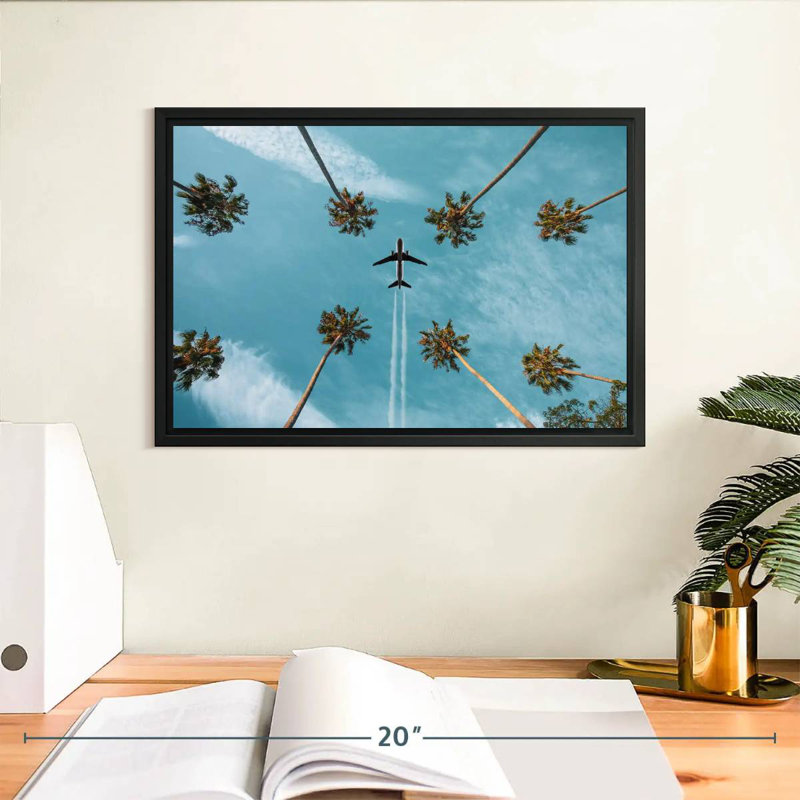 Avion au-dessus de palmiers, Cadre flottant noir, 13 po x 9 po