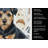 Black and Tan Norfolk Terrier Coffee Bar Kitchen Towel-1168063129