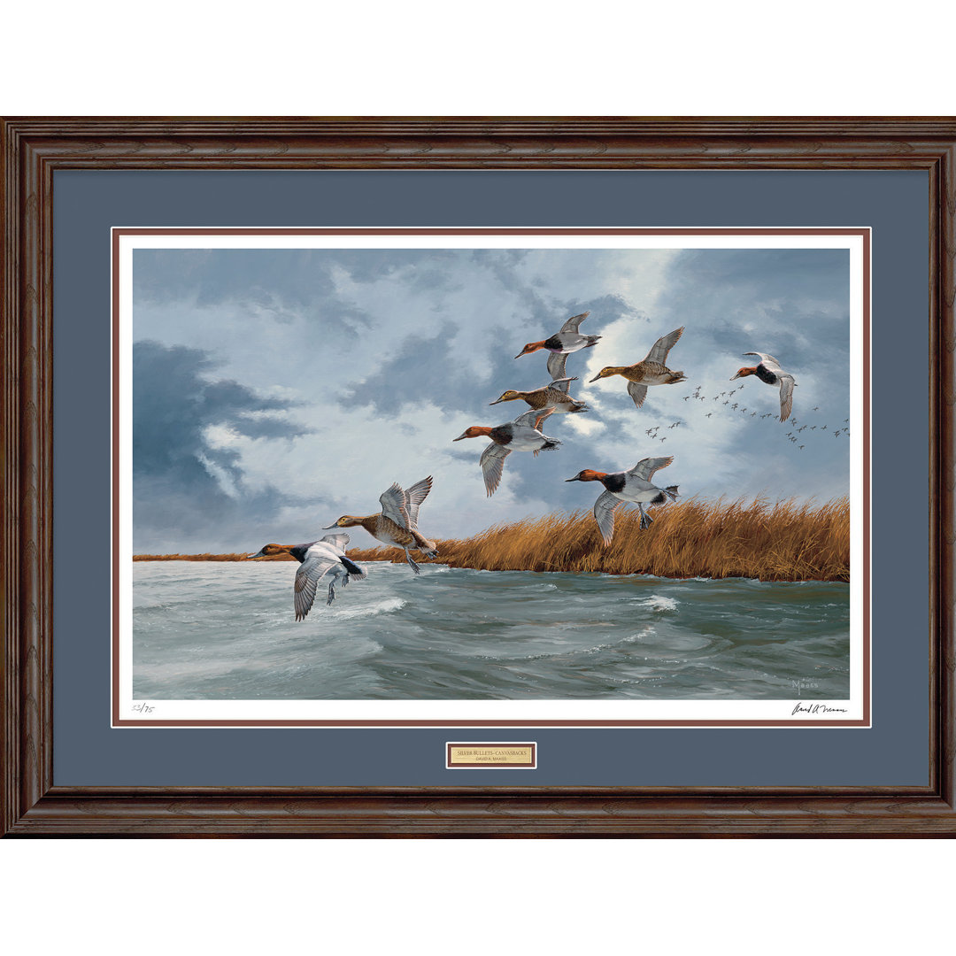 Traditional Wild Wings