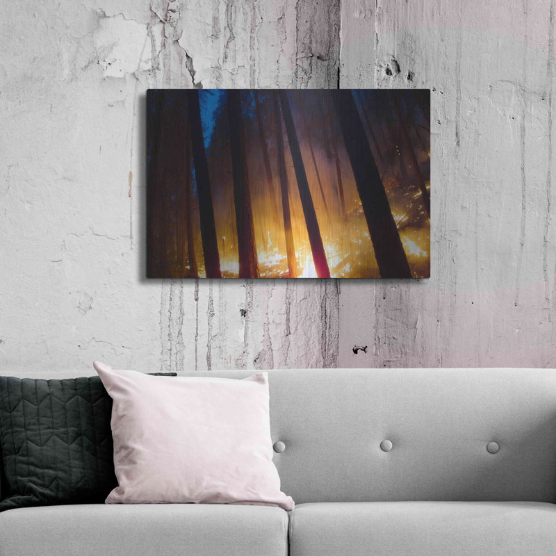 «Burning Forest» par Thomas Haney, H 24 po x l 36 po