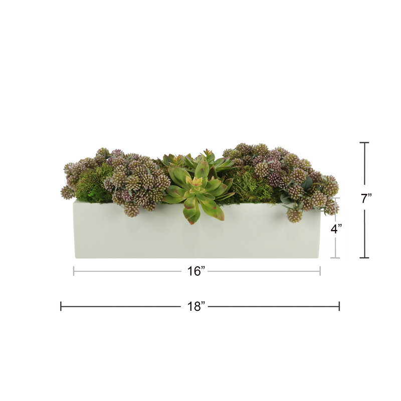 Succulents and Sedum Arranged in Fiberstone Planter