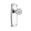 Prairie Plate with Crystal Door Knob-1066948440
