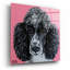 "Caniche noir" par Carolee Vitaletti-1613037722