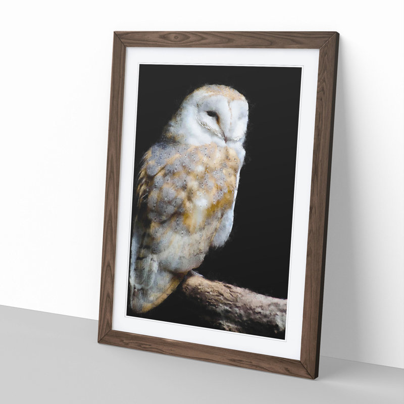 Barn Owl Vol.3 - Picture Frame Painting, Walnut Framed, 48cm H x 36cm W x 2cm D