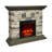 Iseminger 40"  Electric Fireplace-480106004