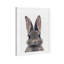 Mignon bébé lapin, art encadré