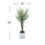 Green Myrtle Tree in White Pot