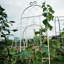 2 Pack Metal Garden Trellis 86.7" X 19.7" Rustproof Trellis For Climbing Plants Outdoor Flower Support-173991965