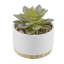 Agave artificielle 2 pièces en pot-1109736890