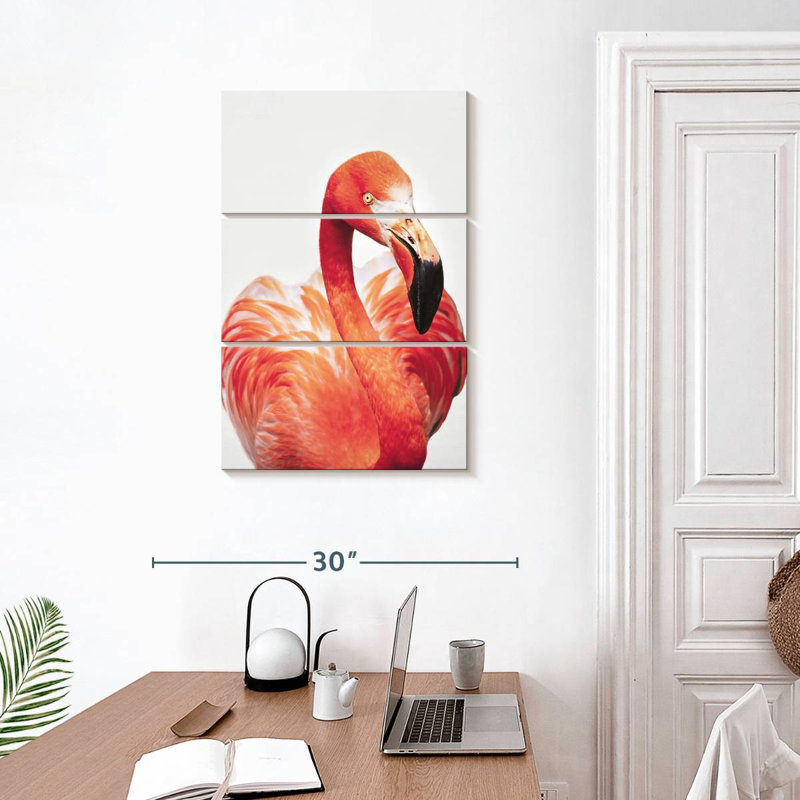 Flamant rose Brampt