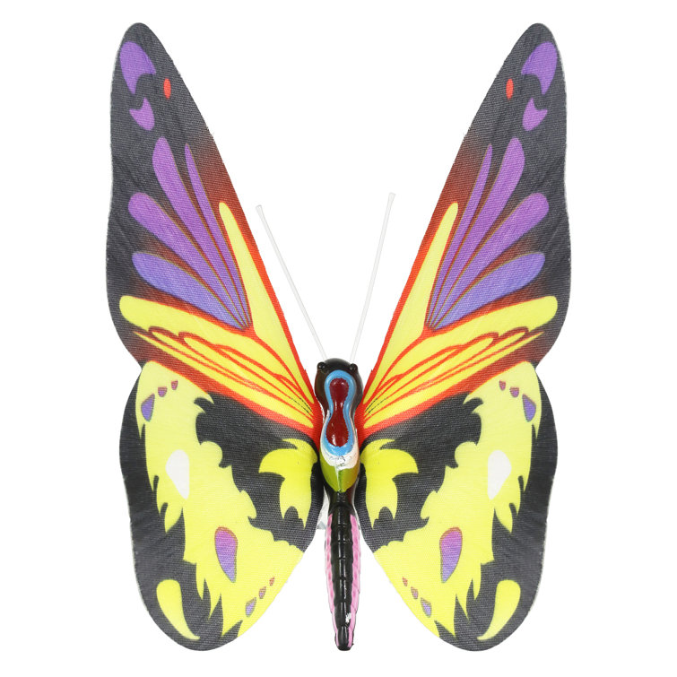 Magic Flying Butterfly Rainbow