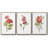 " Scarlet Geranium " 3 Piece Art Oil Set-97706597-97706596