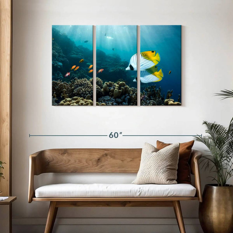 Poisson Brampt près du récif de corail, H 28 po x l 45 po