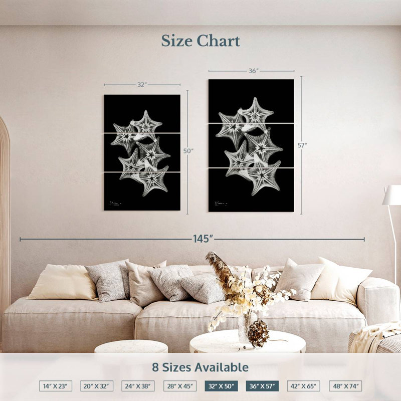 Brampt Starfish Collage, 50" H x 32" W