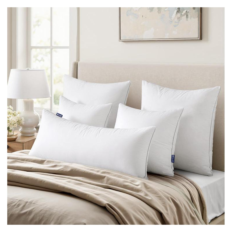 Pillow Inserts (Set Of 2) -Throw Pillows For Couch Sofa With 100% Cotton Covers