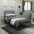 Hidalgo Metal Platform Bed-118303752-118303755