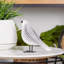  Figurine Blumofe-524151020