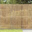 Bamboo Fence