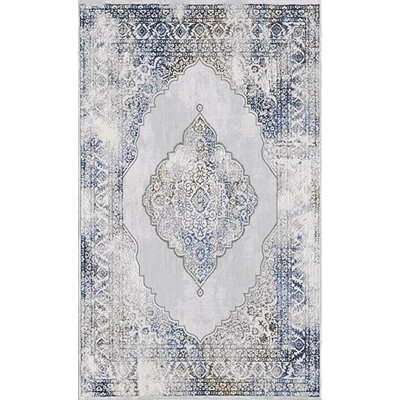 Oriental Area Rug in Blue