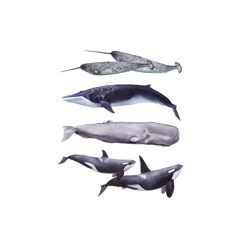 Whale Stack II by Grace Popp - Wrapped Canvas Print, 20.32 cm H x 30.48 cm W