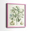 Reproduction encadrée de qualité supérieure Buchoz Tropicals IX - prête à être accrochée-213630779-213630776