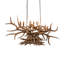 10 - Light Chandelier