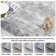 Abstract Machine Washable Area Rug Modern Non Slip Rugs for Living Room Bedrooms Foldable Rugs for Playroom Office Kitchen Rugs