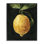 Art abstrait giclée au citron sur une vigne par Emma Caroline