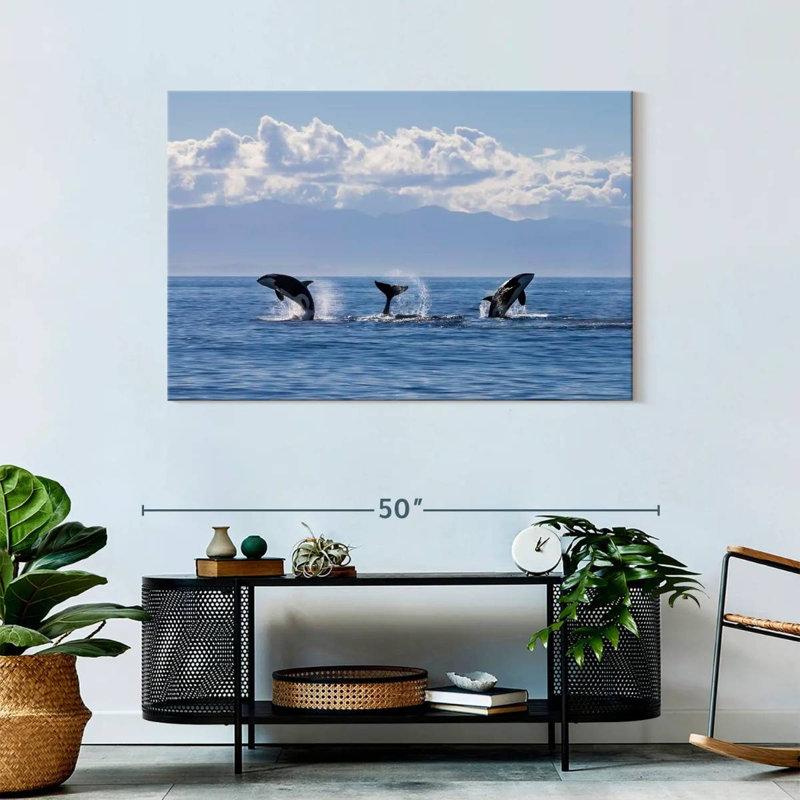 Brampt Lively Killer Whales, 30" H x 45" W