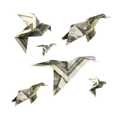 Origami Bird - Wrapped Canvas Print