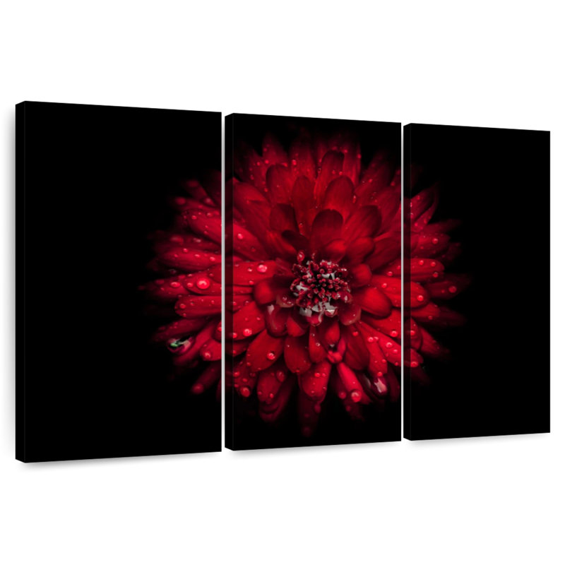 Fleurs Harnek Backyard de couleur IV, H 36 po x l 57 po