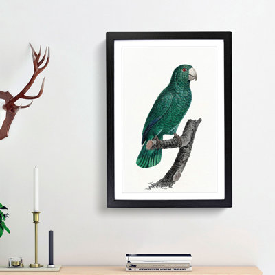 Emerald Cuban Amazon Parrot by F. Levaillant - Picture Frame Painting Print